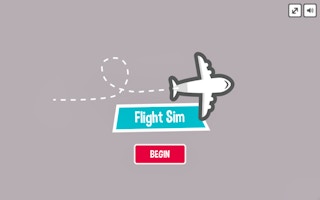 Image Flight Sim Pro